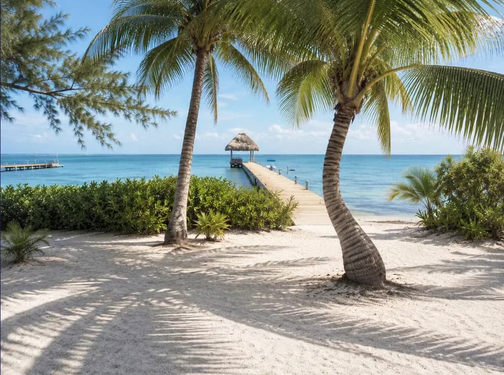 The beach in front of the villa, with two coconut palms leaning over white sand and a thatched pier running out into the Caribbean