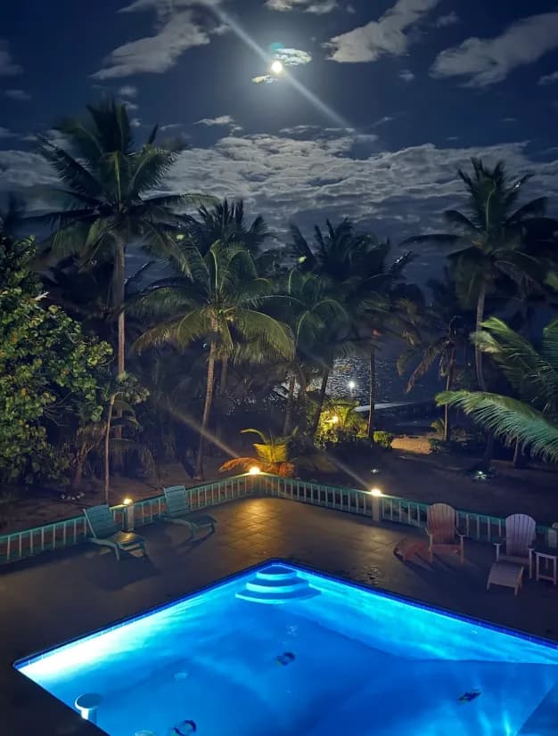 The pool lit blue under a full moon, seen from the roof, with palms around the deck